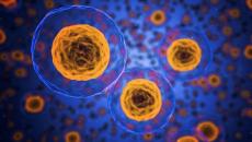 The country’s General Authority of Healthcare will be the first entity in the country to use the technology, the authority’s chairman told Arabic media. Egypt, cancer diagnosis, digital pathology