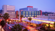 Children's Hospital Los Angeles Children's Hospital Los Angeles